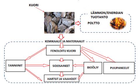 36 3.2.1 Kuorimon puujäte Sellutehtaalle saapuvasta puun tilavuudesta arviolta 10-14 % on kuorta, jota ei käytetä sellun valmistukseen.