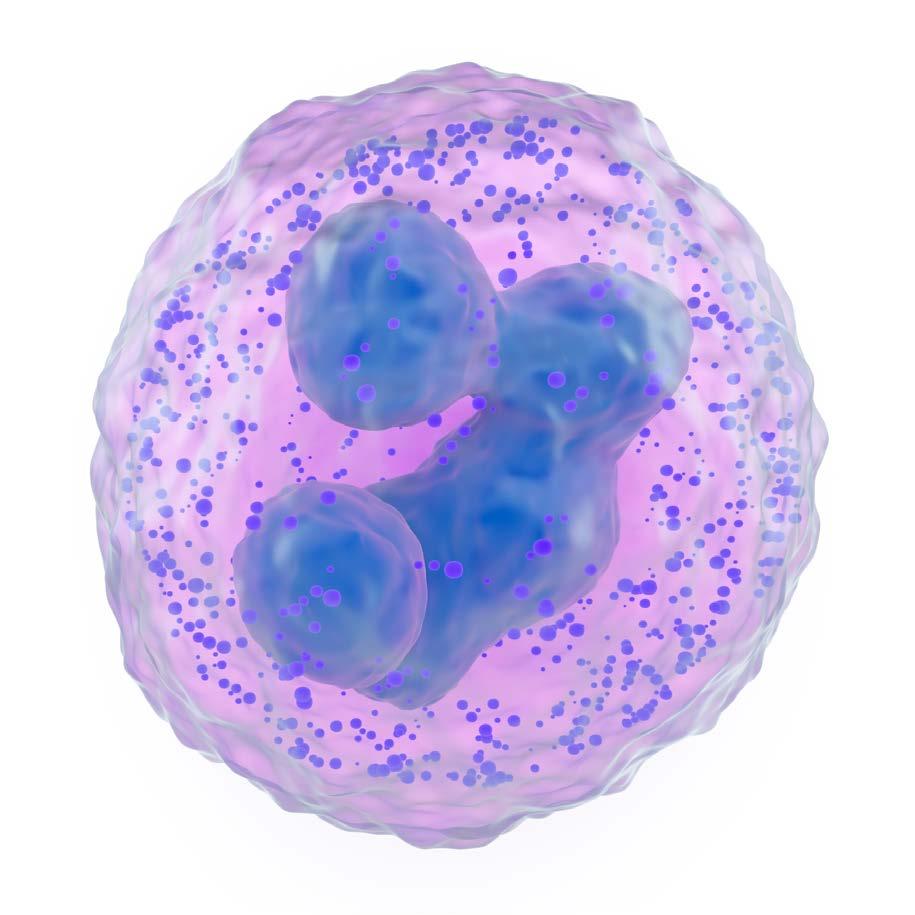 Hematologisten sairauksien eurooppalainen osaamisverkosto (EuroBloodNet) 16 Hematologisiin sairauksiin lukeutuvat veri- ja luuydinsolujen, imukudoselinten ja hyytymistekijän poikkeavuudet, joista