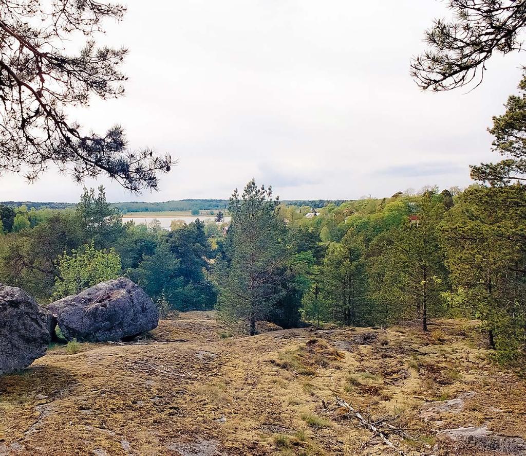 3 SIJOITA ASUMISEEN. ASU AROLAAN. Asunto Oy Turun Vuorenpeikko yit.fi/arola Luonnonläheinen ympäristö ja merellinen historia kohtaavat Hirvensalon Arolassa.