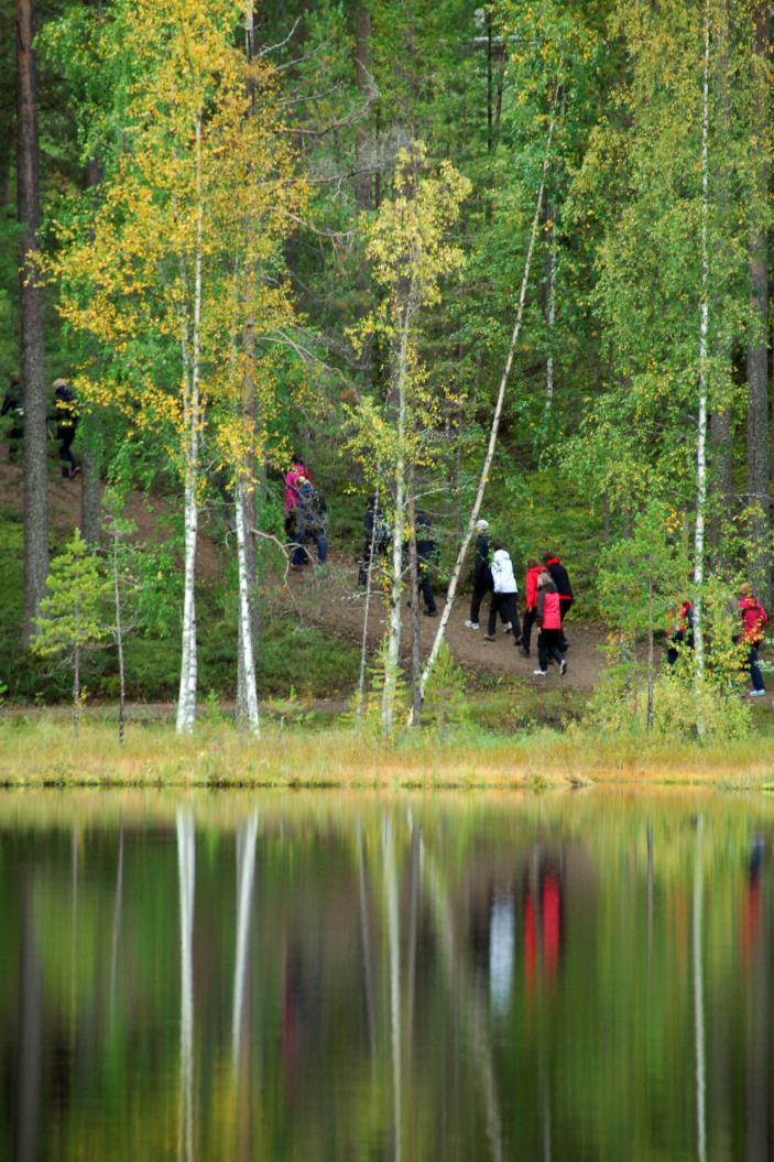 Luonto, ihminen ja hyvinvointi Luonnon virkistyskäyttöä tutkittu 1980- luvulta saakka, terveysvaikutuksia noin 15 vuotta Pääkysymyksiä: Miten terveys- ja hyvinvointivaikutuksia saadaan?