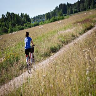 Ympäristön metsät ja Vantaanjokilaakso 2.