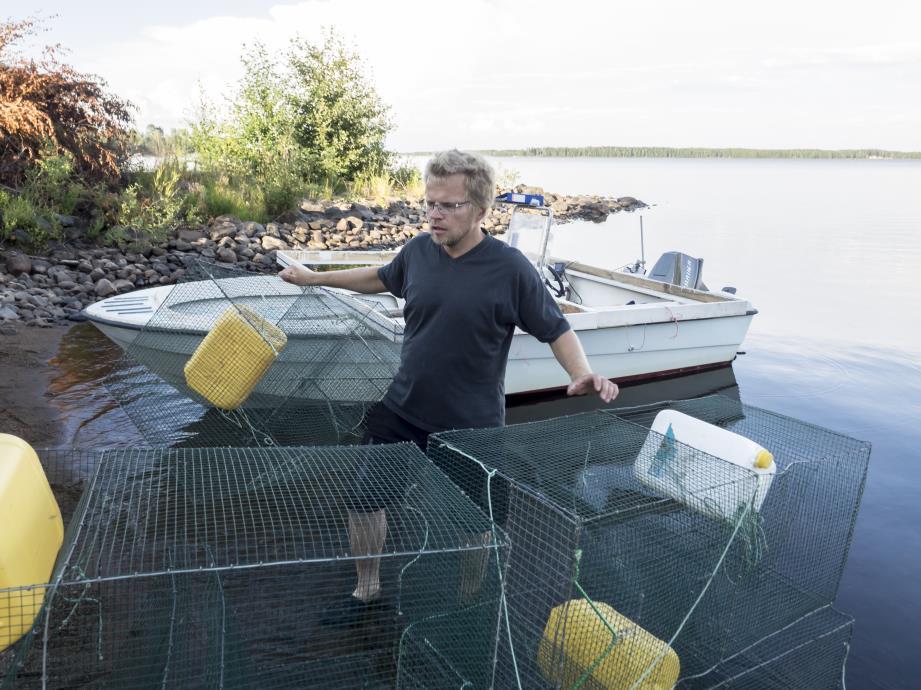 Kuva: Arto Rummukainen Mitä asioita tulisi tarkastella? Kalakannat ja kohtuuton haitta elyn harkittavana lupaa myöntäessään Pyydyksittäin vaatimukset Esim.