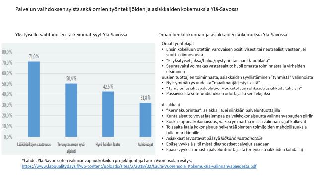 Liite 4: Ensimmäisiä havaintoja