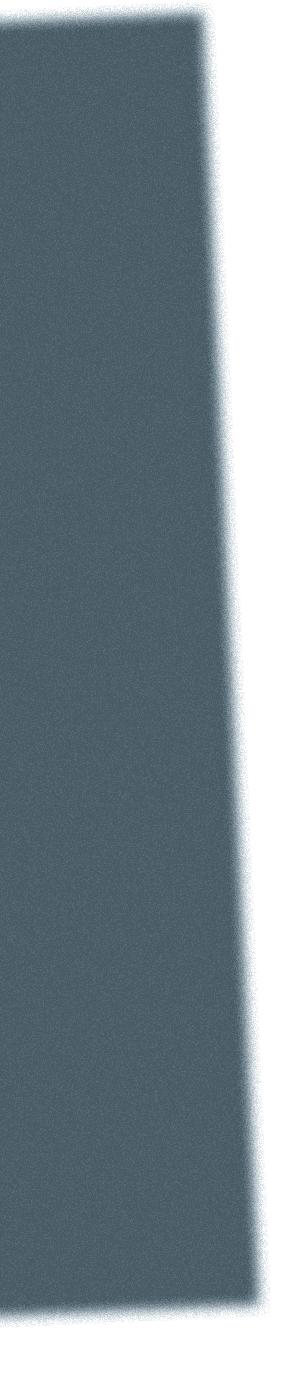 Hlavné úlohy SCCF simuluje úrady štátnej správy odbor živnostenského podnikania, registrový súd, daňový a colný úrad, sociálnu a zdravotnú poisťovňu, poštový úrad a banky pre domáci a zahraničný