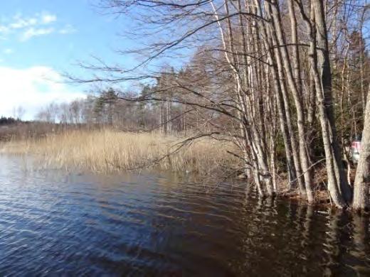 Työn kehittäminen terveyskeskuksessa Laatutyötä on tehty pitkään ja vuonna 2011 Uudenkaupungin terveyskeskus ja vanhustyö saivat laaduntunnustuksen (SHQS).