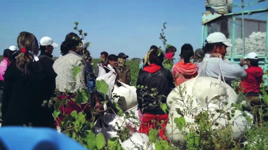 Sadonkorjuuta Uzbekistanissa Cotton slavery in Uzbekistan -video Maaprofiili: Uzbekistan Asukasluku: 29,5 miljoonaa, maailman 45. väkirikkain maa Pinta-ala: 447 400 neliökilometriä, maailman 57.