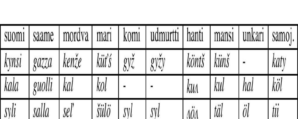 21 Etymologian peruskriteerit Ulla-Maija Forsberg Miten voi päätellä, onko sana mahdollisesti omaperäinen ja ikivanha? Mistä voi tietää, että sana tubettaa on lainasana?