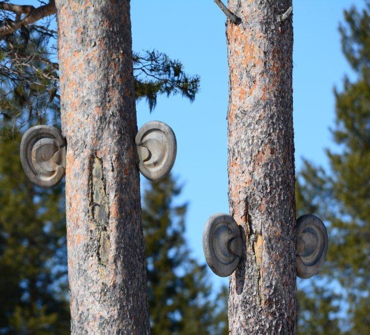 Kiitos Kohtasin kerran Kuusamossa taideteoksen, jonka nimi on Metsä kuuntelee.