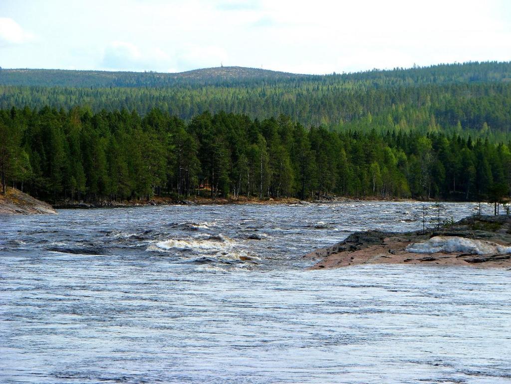 yhteinen ruotsalais-suomalainen biologinen selvitys sopivien kalastussääntöjen arvioimiseksi vuodelle 2018 Stefan Palm