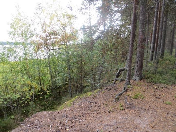 4 Muut merkinnät Olevien ranta-asema- ja asemakaavojen sekä asemakaavoitettavien alueiden rajaukset on näytetty kaavakartalla.