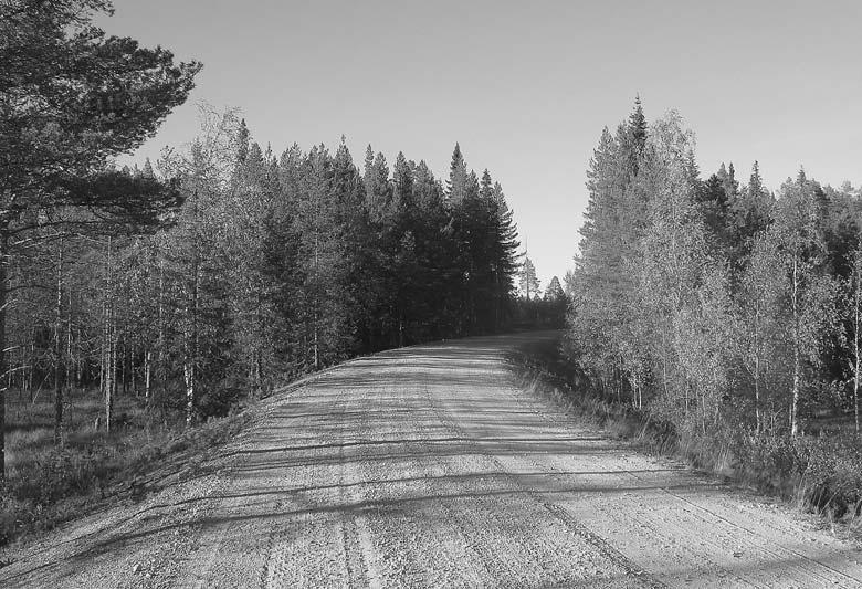 Venontaj La AT-programo koncentriøas dimanæe en la fervojo konstruita de militkaptitoj. En la bildo la bazo de la fervojo, kiu nuntempe servas kiel landvojo inter Jokijärvi kaj Metsäkylä.