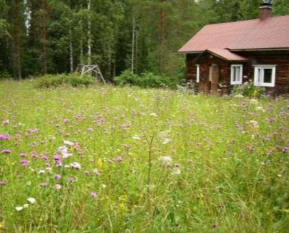 Mikä on perinnebiotooppi?