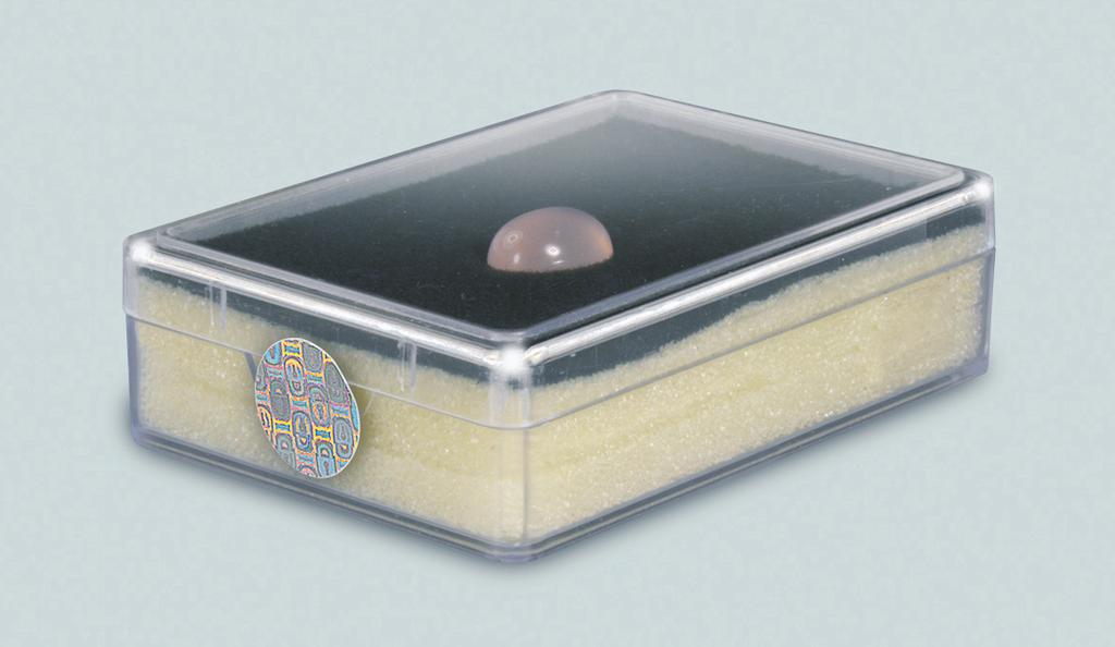 Hologramm-Verschlusssiegel, selbstklebend,