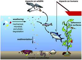 ympäristönäytteet sisältävät paljon enemmän luonnollisia materiaaleja (plankton,