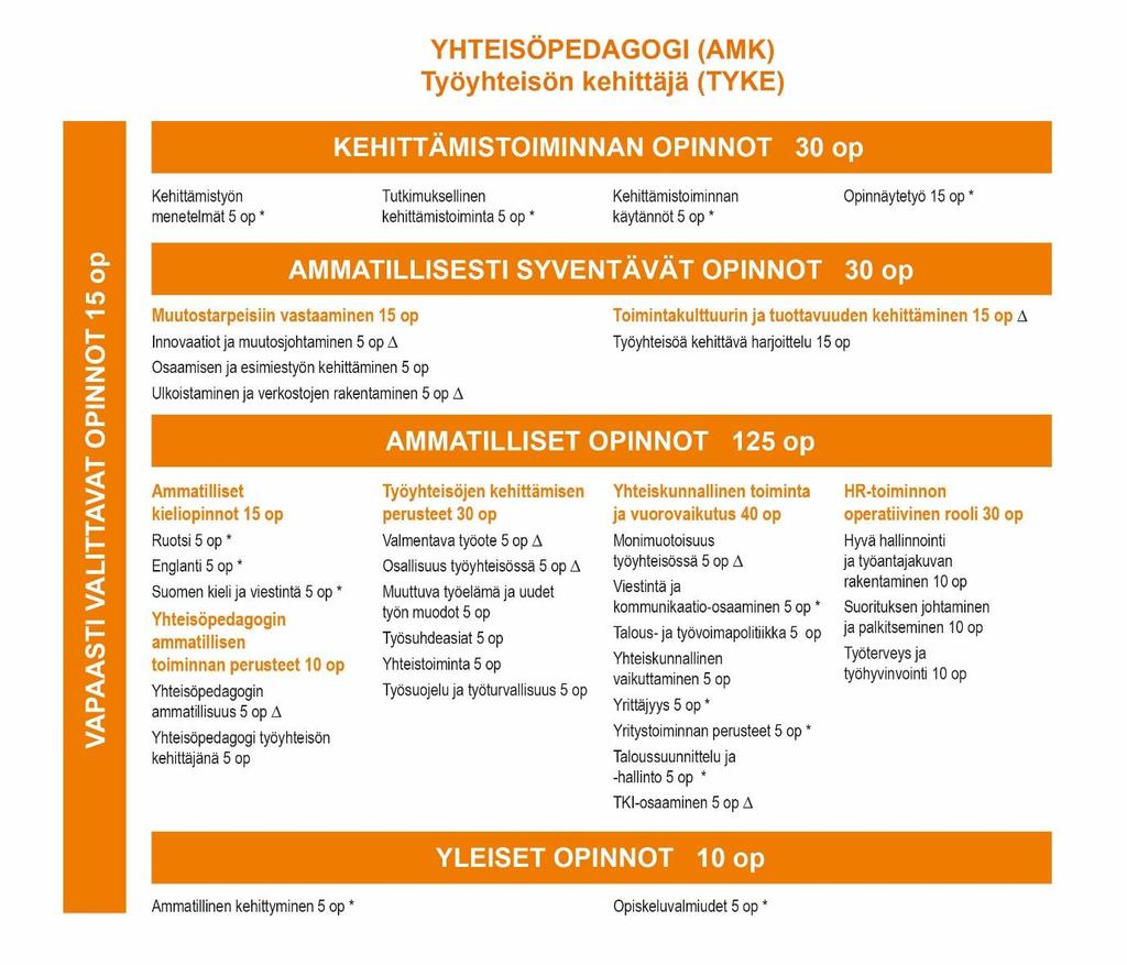 29 Opetussuunnitelman visualisointi Taulukkoon on merkitty *-merkillä koulutusten yhteiset opintojaksot Taulukkoon on merkitty -merkillä yhteisöpedagogikoulutuksen profiilien sisällöiltään yhteiset