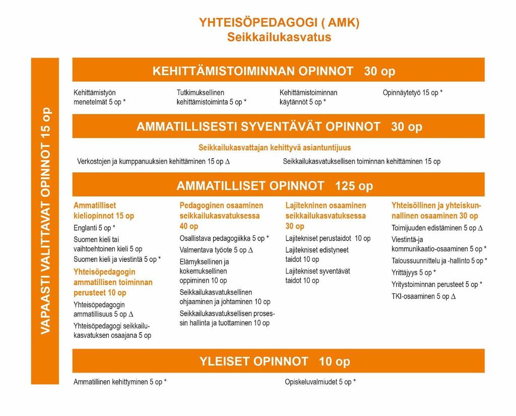 46 Opetussuunnitelman visualisointi Taulukkoon on merkitty *-merkillä koulutusten yhteiset opintojaksot Taulukkoon on merkitty -merkillä yhteisöpedagogikoulutuksen profiilien sisällöiltään yhteiset