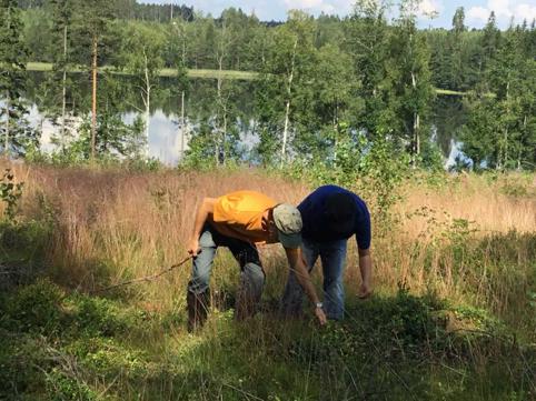 Käytössämme on Avustajainfo-verkkopalvelu, jonka kautta työnantajat voivat etsiä itselleen avustajaa ja avustajat työtä.
