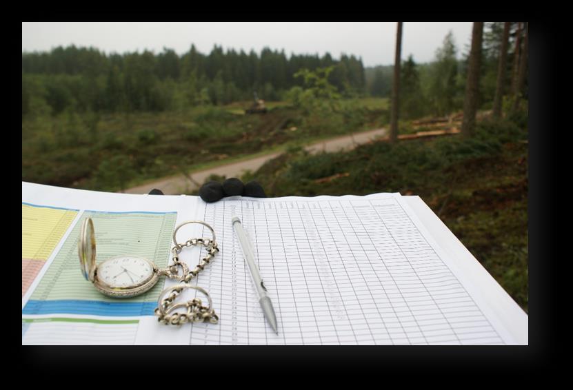 Työntutkimus työn tuottavuus ajankäytön jakauma tehokkaan toiminnan esteet ( työturvallisuus, prosessit, ergonomia).