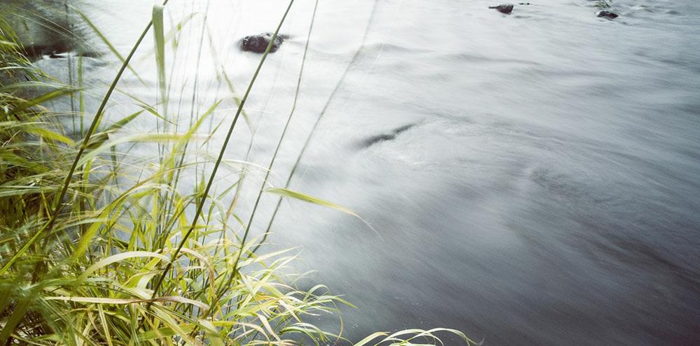 Ympäristövaikutusten hallinta Fennovoima valvoo koko työmaan ympäristövaikutusten hallintaa.