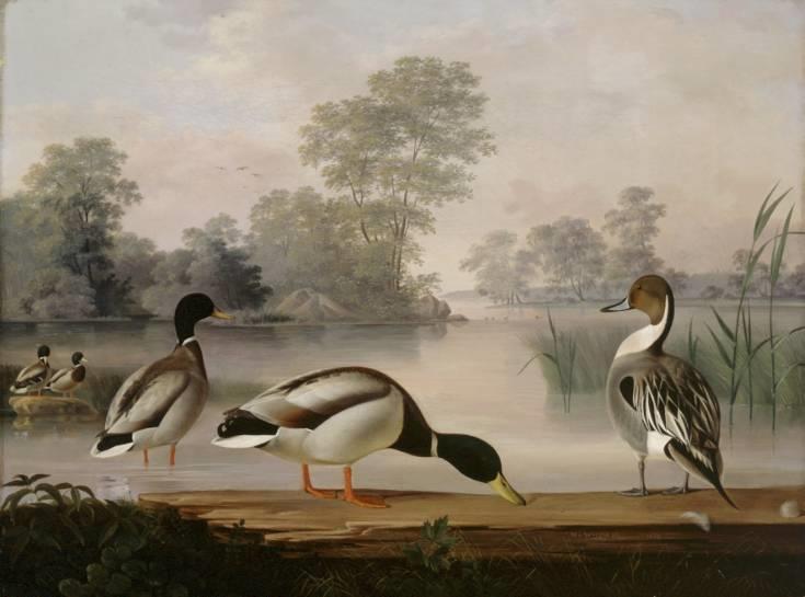 4 TAITELIJOITA JA MUUSIKOITA 4.1 Taitelijoita Magnus von Wright, taidemaalari, ornitologi, s. 13.6.1805 Haminanlahti, k. 5.7.1868 Helsinki.