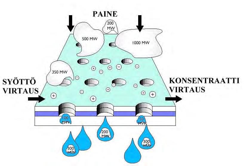 KALVOSUODATUS SOVELLUSKOHTEET TOC:n poisto