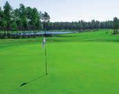 Kauniissa ympäristössä sijaitsevan golfkentän pelikausi on meren läheisyyden ansiosta yksi Suomen pisimpiä, yleensä huhtikuulta marraskuulle. Järjestämme myös alkeiskursseja. Tervetuloa!