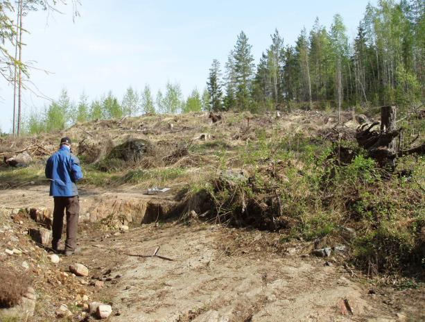 Valtausaikana tehty tyypillinen suuri (pitkä) tutkimuskaivanto kallion paljastamiseksi ohuiden maapeitteiden alta. Kaivannon suunta valitaan poikki geologisten rakenteiden.