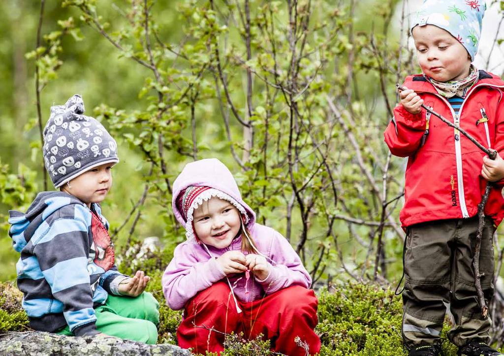 POPULAARIVERSIO NORRBOTTENIN