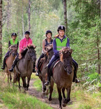 ohjelmapalvelut Järjestämme tilauksesta toivomustenne mukaiset kokoukset ja tyky-päivät.