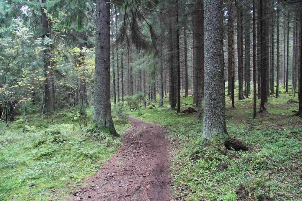 Lopuksi Jokaisen on omat tiensä kuljettava, mutkaiset ja kivisetkin, ja omat läksyt opittava