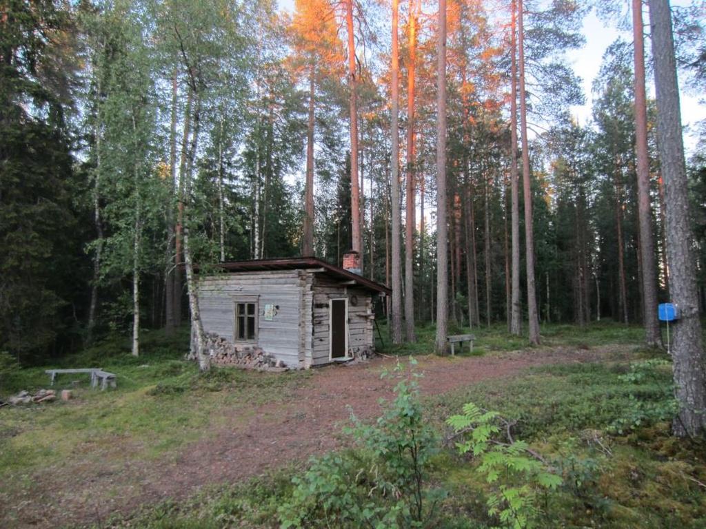 7 Taulukko 4-1. Passiivisessa kartoituksessa tehdyt lepakkohavainnot eli yhden minuutin havaintojaksojen lukumäärä.