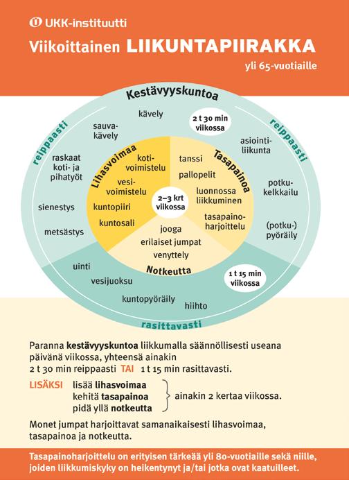 30 Kuva: Liikuntapiirakka yli