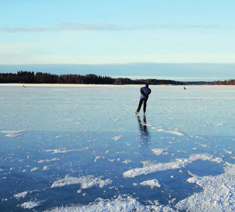 2017 Luonto kaupungissa Suomalaiset arvostavat asuinalueensa luontoa Lineaaritaloudesta kiertotalouteen Tuhansien vesien maa Ihmisen ja ilmaston vaikutukset näkyvät vesiluonnossamme Enemmistö
