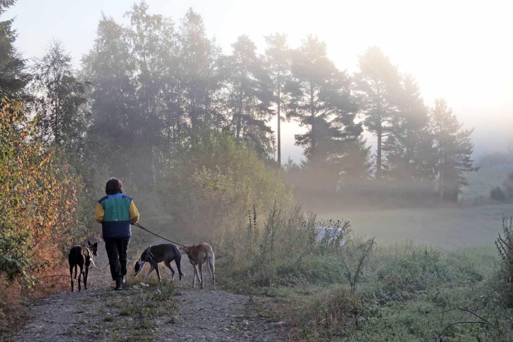 Tämä tietenkin sillä edellytyksellä, että kaasua on pullossa.