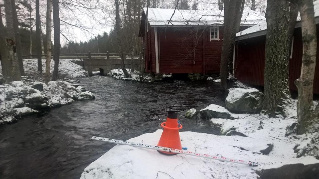 Taimen ja lohi kaivavat niin sanotun kutupesän virta- ja koskialueiden sorapohjille. Varsinaisen kaivuu-urakan suorittaa naaraskala.