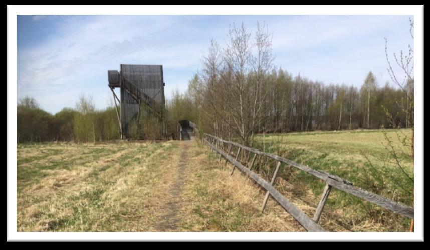 Tarassiinlahdelta säätiölle lahjoitettu lisäalue näkyy kuvassa lintutornin takana oikealla. Puusto on 30-vuotiasta istutettua tervaleppää. Kuva otettu 25.5.2017 lahjakirjan allekirjoituspäivänä.