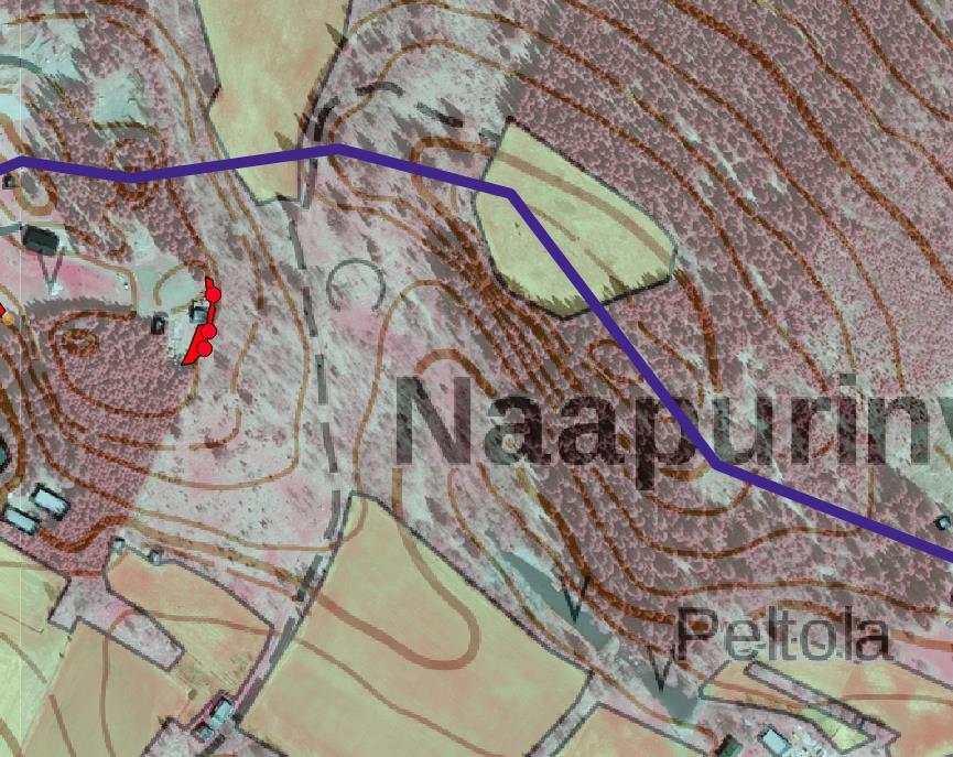 Kuva 4. Havaitut jättipalsamikasvustot ja suositukset torjuntatoimiksi esiintymässä 2: Punainen ala = jättipalsamia pihan reunassa, toistuva niitto, tarvittaessa täydennys kitkemällä.