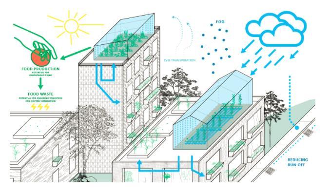 Biomimicry alkuperäinen luonto