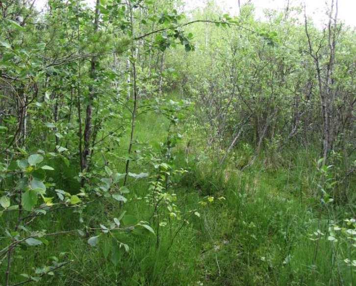 ) Kohteelta kaivettavat massat on esitetty sijoitettavan läheisen pellon reunaan, Naturaja luonnonsuojelualueen