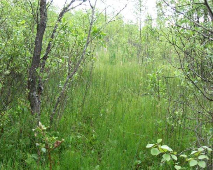 Läjitysalueen (1300 m 2 ) järven puoleinen reuna on syytä tukea esim.