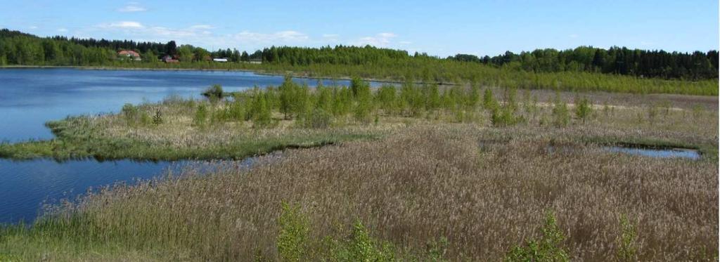 laudoin ja suodatinkankain, jotta ruoppausmassat pysyvät halutussa kohdassa.