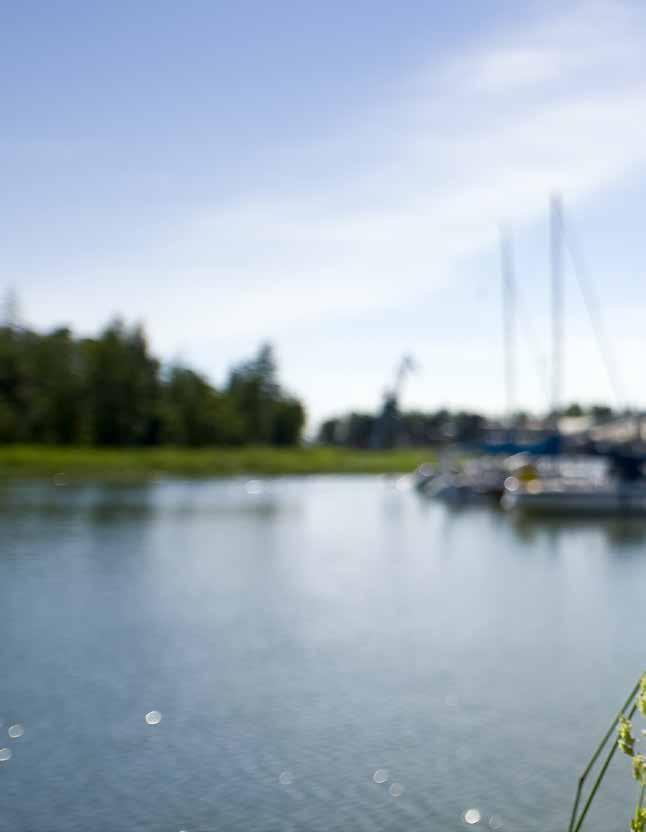 2 HYVIEN TARINOIDEN UMAUNTA Haluan asettua paikkaan, jossa viihdytään ilman ikärajaa!