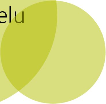 ratkaisuja, vaan esittäisivät vaihtoehtoja Sanna Lauslahti 12.