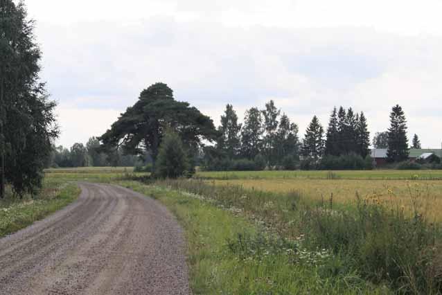 Maiseman yksityiskohtia kannattaa vaalia. Köyliönjärven ympäristössä on teiden varsilla erityisen paljon erilaisia maisemapuita ja kujanteita, jotka tekevät maisemasta mielenkiintoisen.