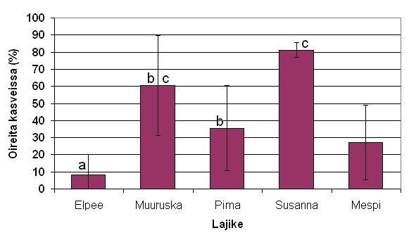 Lehtihome Lehtihomeoireiden yleisyys mesimarjoilla.