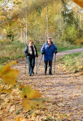 Luonto ja liikkuminen Viheralueen läheisyys ja määrä yhteydessä fyysiseen aktiivisuuteen Lisää kaiken ikäisten fyysistä aktiivisuutta ja kävelyä