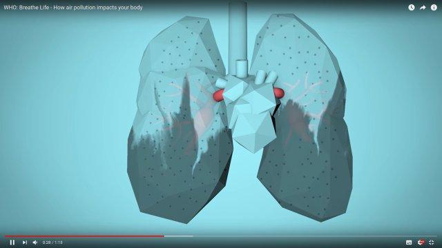 HEALTH EFFECTS OF AIR POLLUTION Moderator: Katherine Walker, Health Effects Institute, USA