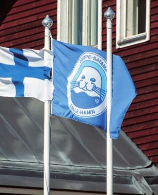 Vuoden varrella tapahtunutta PSS ry näkyi messuilla Yhdistys oli edustettuna monilla messuilla vuoden aikana. Helsingin Vene 17 Båt -messuilla 10-19.2. saatiin runsaasti uusia jäseniä.