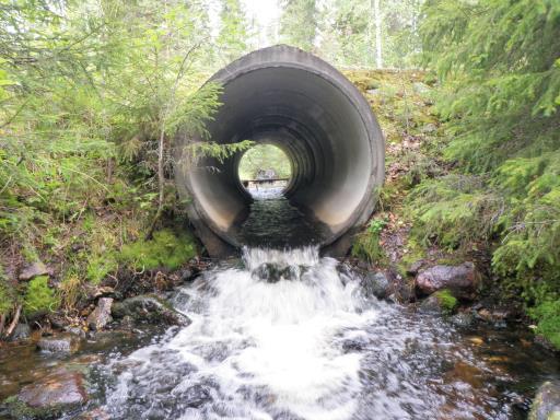 Kesän 2017 inventointitulokset tallennetaan tulevan talven aikana valtion metsäautoteiden