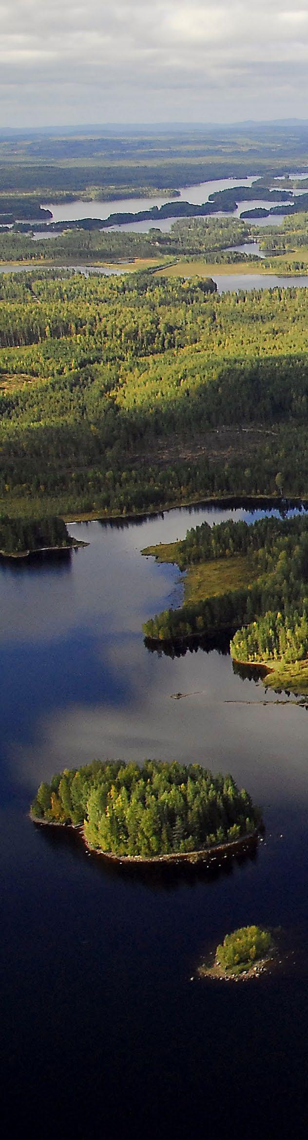 TORNATOR Vuosikertomus 2017 / Strategia KANNATTAVA KASVU Metsäomaisuus kasvoi Suomessa ja Virossa Teollisuuden investoinnit ja raakapuun lisääntyvä tarve kasvattivat Tornatorin puunmyynnin